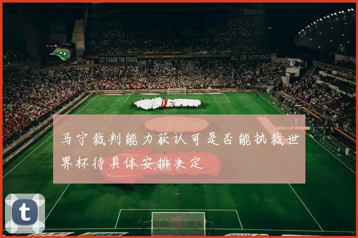 马宁裁判能力获认可是否能执裁世界杯待具体安排决定